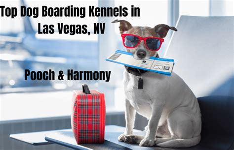 las vegas dog kennel